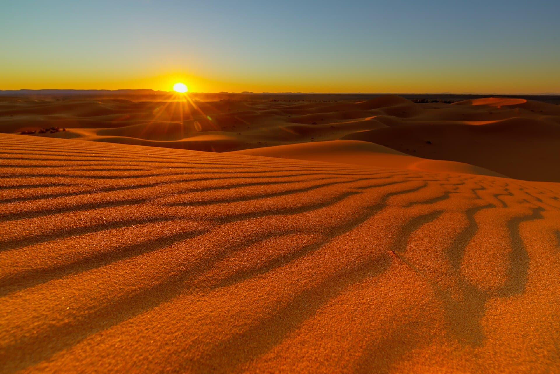Dunes du Sahara au coucher du soleil
